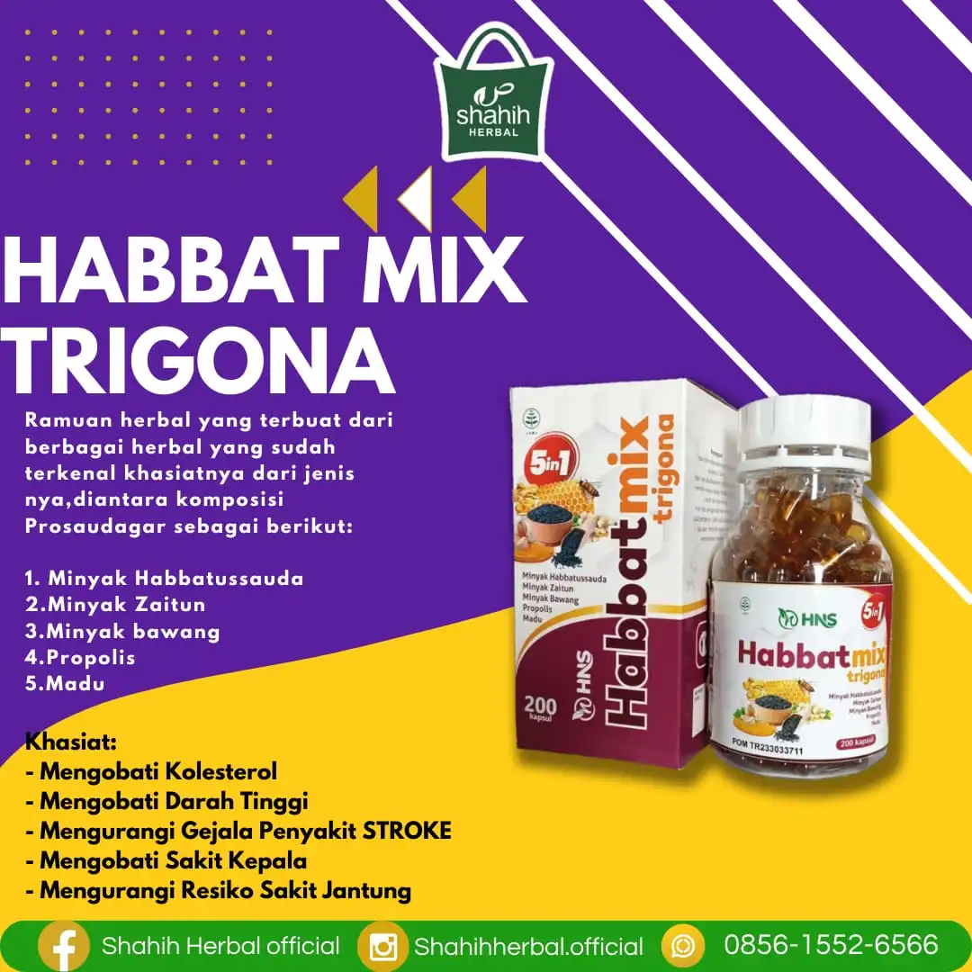 HABBATMIX kapsul herbal untuk kolesterol - Gambar 2